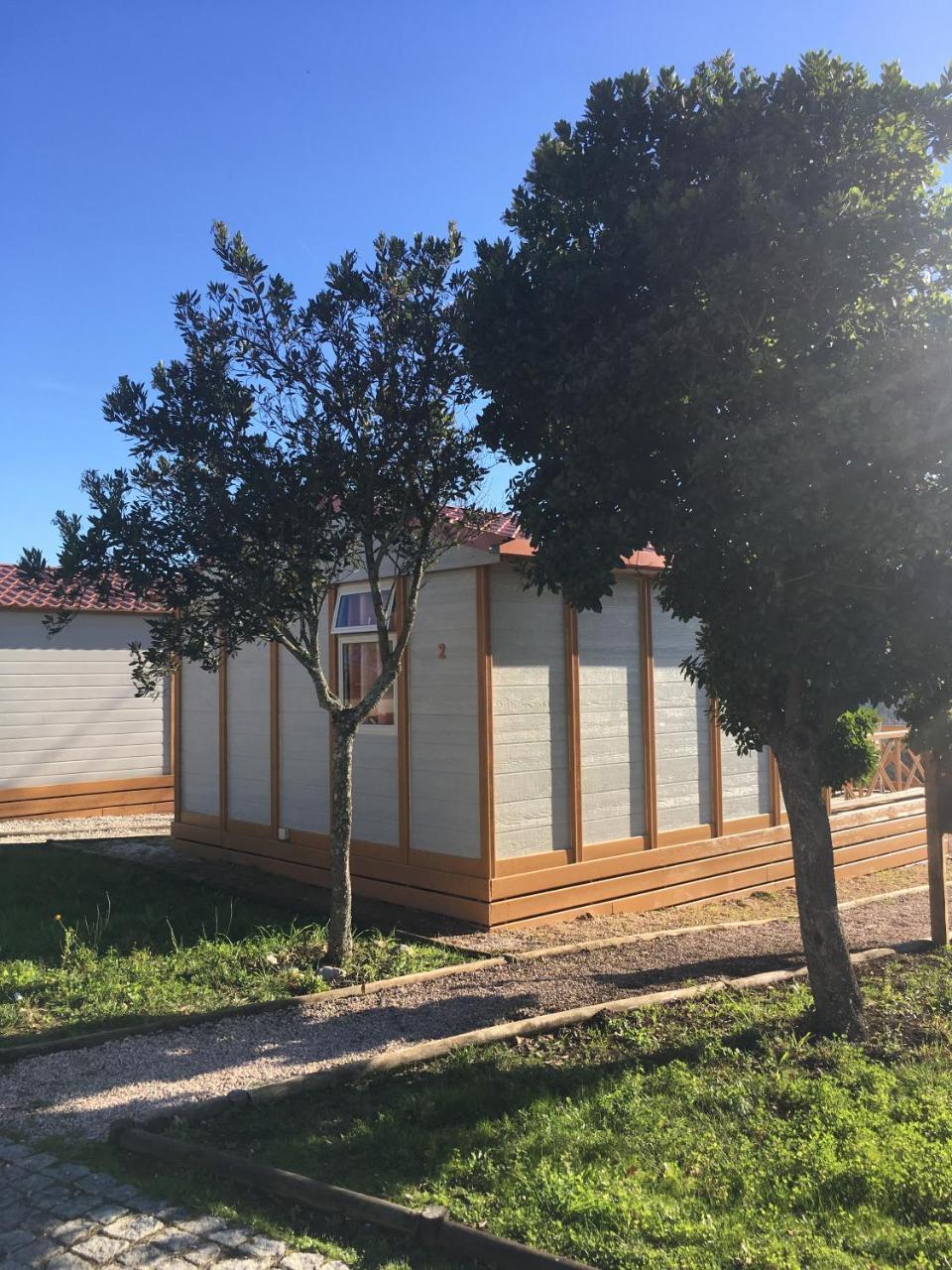 Camping & Coímbra